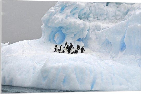 Forex - Pinguïns op IJs gebergte  - 90x60cm Foto op Forex