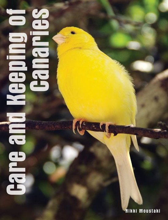 Care and Keeping of Canaries - cover
