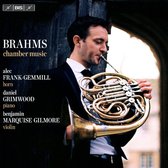 Alec Frank-Gemmill, Daniel Grimwood, Benjamin Marquise Gilmore - Brahms: Chamber Music With Horn (Super Audio CD)