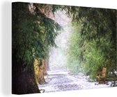 Chemin enneigé sous les arbres toile 2cm 30x20 cm - petit - Tirage photo sur toile (Décoration murale salon / chambre)