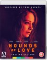 Hounds Of Love