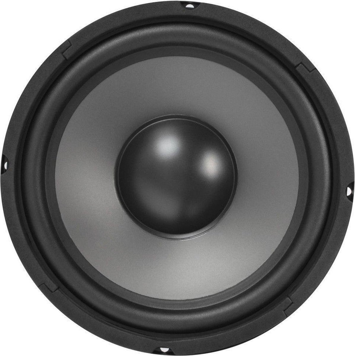 Fenton 6,5 inch HiFi Woofer met PP conus