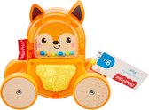 Collection d'animaux surprise Fisher Price