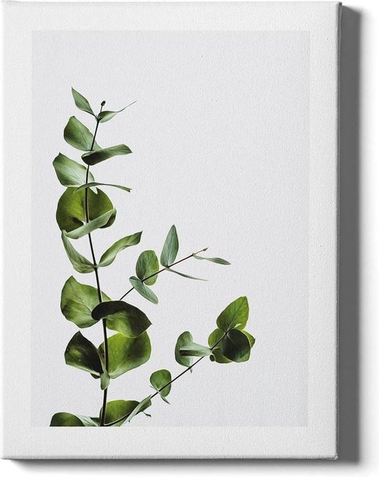 Lastig nul Hertogin Eucalyptus - Walljar - Wanddecoratie - Poster ingelijst | bol.com