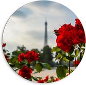 Dibond Wandcirkel - Rode Bloemen met Eiffeltoren op Achtergrond - 80x80cm Foto op Aluminium Wandcirkel (met ophangsysteem)