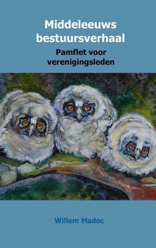 Middeleeuws bestuursverhaal - cover