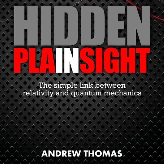 Hidden In Plain Sight - cover