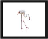 Foto in frame Flamingo, 3 maten, roze/wit, Premium print