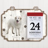 Scheurkalender 2023 Hond: Pyrineese Berghond