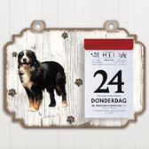 Scheurkalender 2022 Hond: Berner Sennen