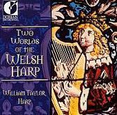 Two Worlds of the Welsh Harp / William Taylor