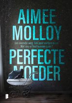 Omslag Perfecte moeder