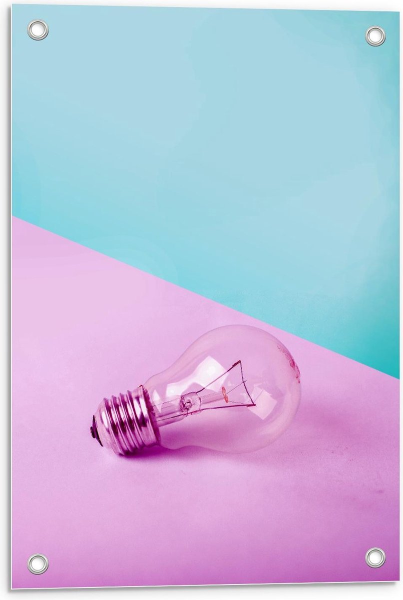 Tuinposter – Paarse Gloeilamp - 40x60cm Foto op Tuinposter (wanddecoratie voor buiten en b