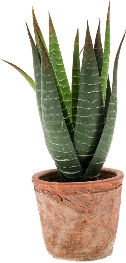 Kunstplant Aloe vera 32 cm