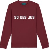 SODESJUS BURGUNDY SWEATER