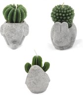 Cactus Candles - Animal Pot (asst) Display