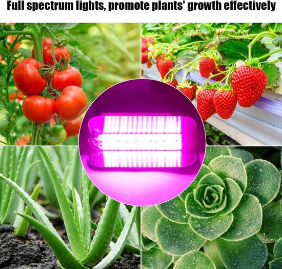 LED Kweeklampen Kopen? | Beste Grow Lights voor Snelle Groei
