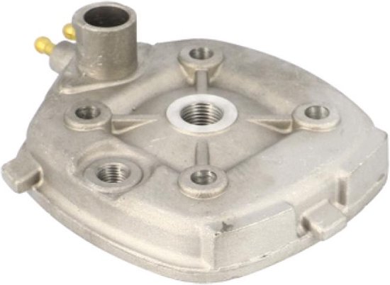 Correttore Di Coppia (Variator) Per Aprilia SR50 LC E Piaggio – Puleggia 118 Mm, Mozzo 45 Mm, Cuscinetti 12/17 Mm