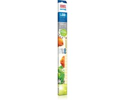 Juwel LED Nature - Aquariumverlichting - 6500k - 14 Watt - 590 mm - 1610 Lumen