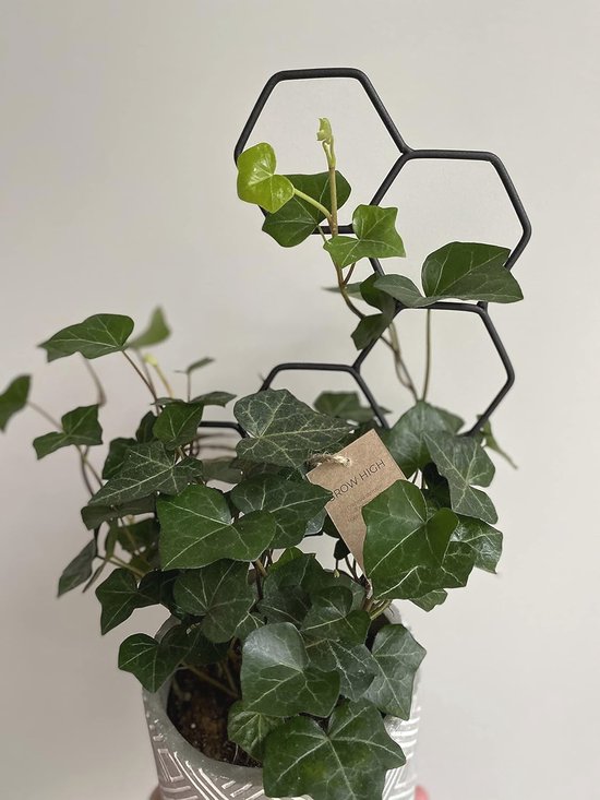 Klimhulp cirkel S, zwart - Garden Supports