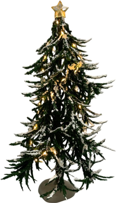 Verlichte Spar Met Ster