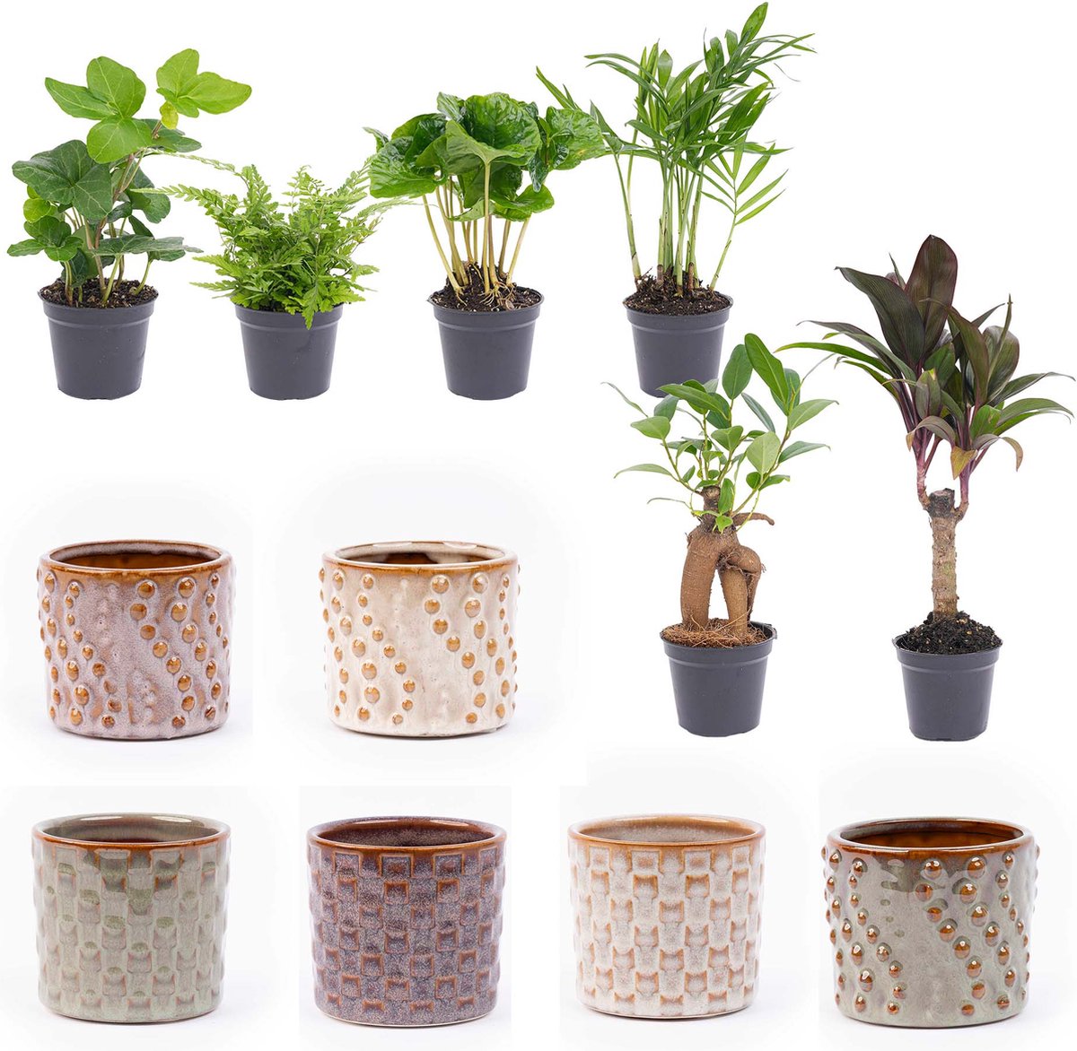 Mini planten set 6 - Inclusief pot set Madrid