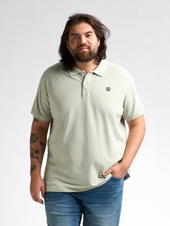 Petrol Industries - Heren Plus Size Klassieke Polo Coral - Groen - Maat 3XL