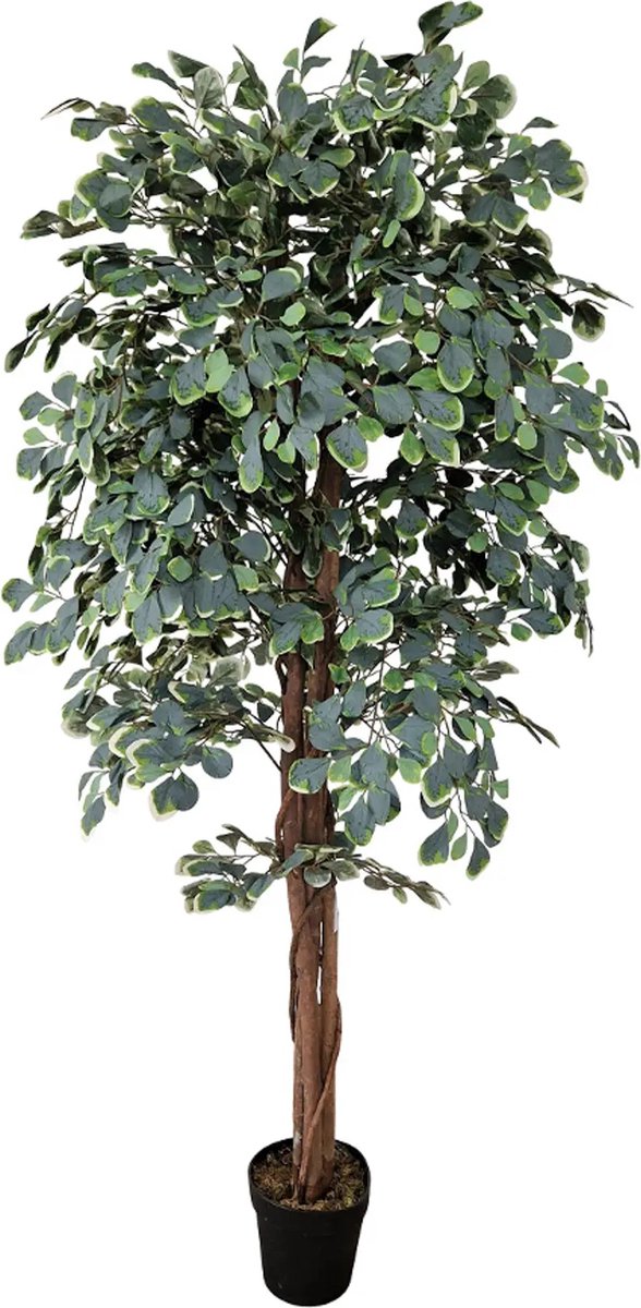 Kunstpalm Kamerlinde Kunstplant | 185cm | Kunstboom | Groen wit blad | Namaak Kamerplant Donkergroen