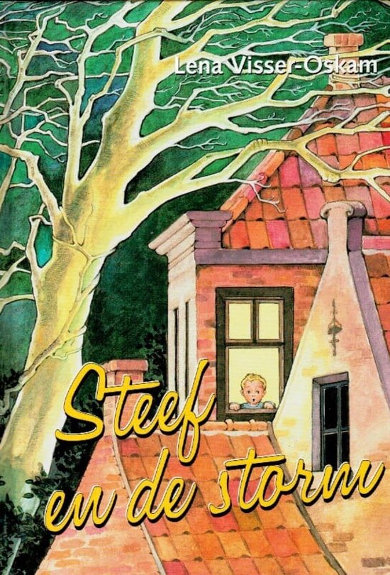 9789055512898 - Steef en de storm
