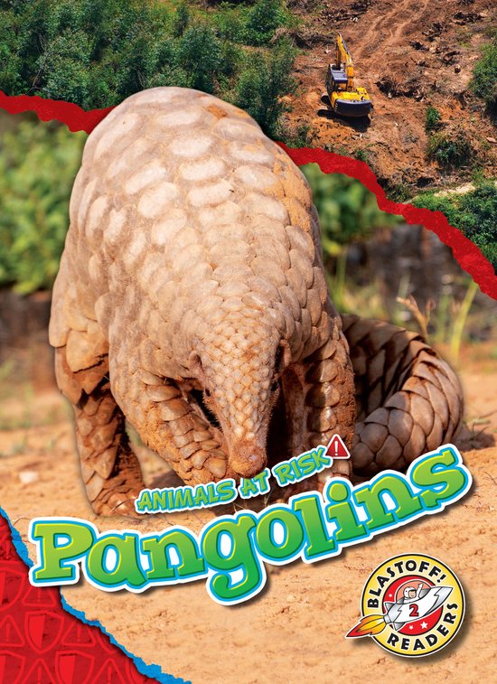 Animals at Risk - Pangolins