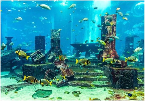 Aquarium Poster Onderwater Marine Koraal Vissen Tank Achtergrond Poster Dikker PVC Lijm Statische Klamming Achtergrond Decoratieve Papier Verhechtende Stickers Sticker (91 x 50 cm), Standaard, 91*50cm
