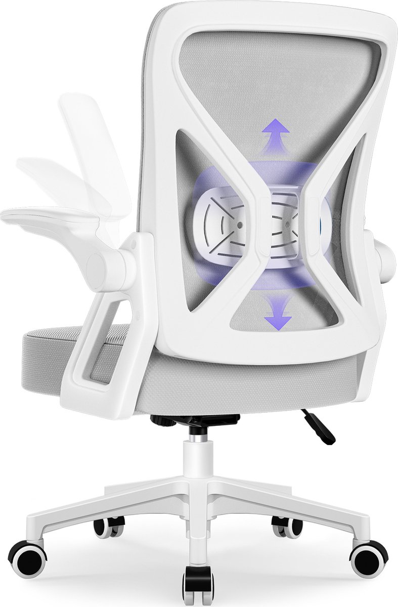 Hiaonyx Bureaustoel-Ergonomische (EAN: ...0032)