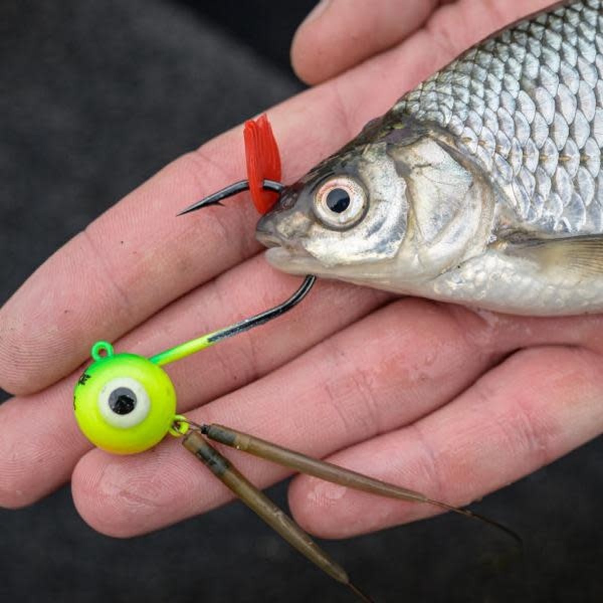 Zebco DB Series - Bait Holding Flags