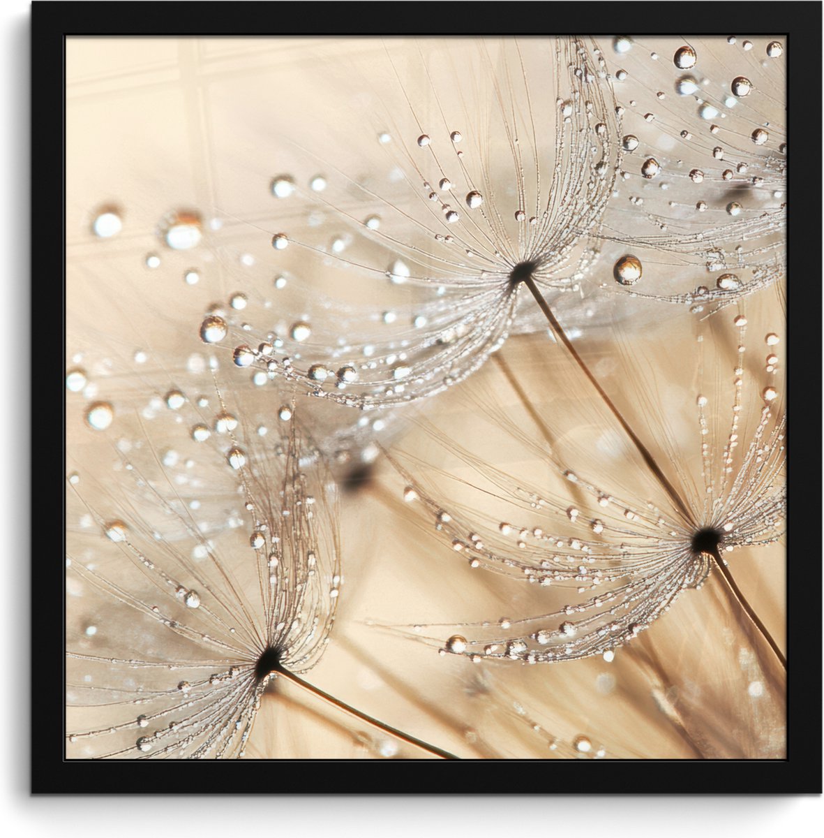 FrameYourWall Poster in lijst - Fotolijst 40x40 cm - Posters - Paardenbloem - Abstract - Natuur - Beige - Posterlijst zwart - Decoratie - Wanddecoratie woonkamer - Muurdecoratie slaapkamer Paardenbloem - Water