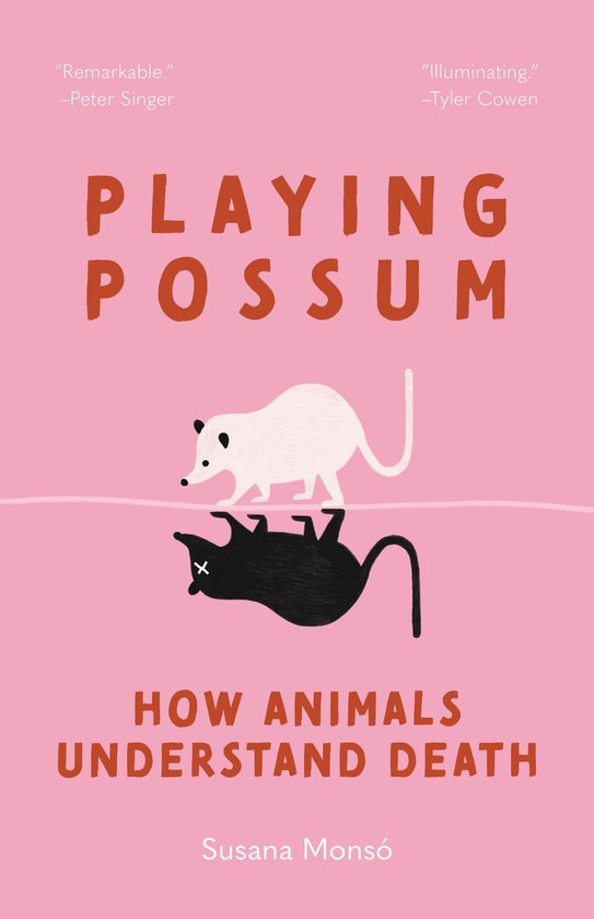Playing Possum - cover