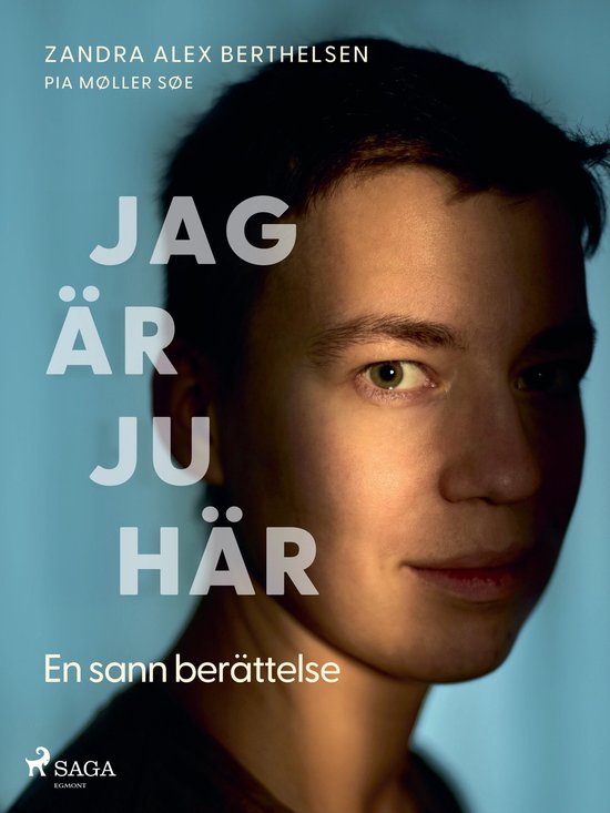 Jag är ju här: En sann berättelse - cover