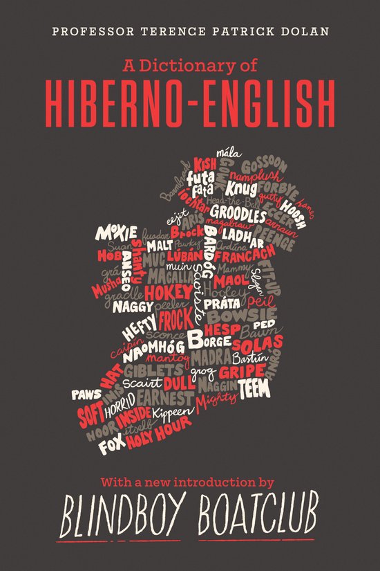 A Dictionary of Hiberno English - cover