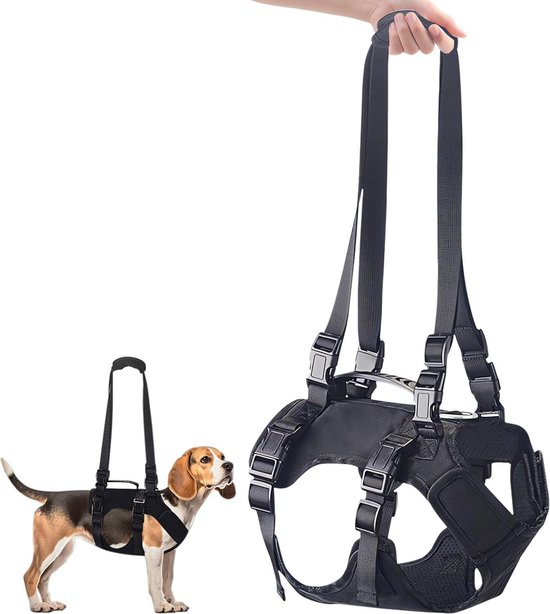 Start Harnais De Poitrine Pour Cheval - Réglable, Élastique, Cuir Véritable Avec Boucle Inox - Noir (Taille Pleine)
