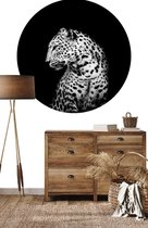 Behangcirkel Dark leopard | ⌀ 140 cm | Wandecoratie | Wandcirkel