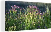 Peinture sur toile 160x80 cm - Décoration murale Fleurs de Limonium dans un paysage verdoyant - Décoration murale salon - Décoration chambre - Accessoires de chambre - Peintures