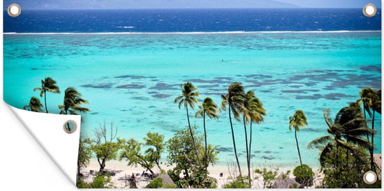 Schuttingposter Palmen op de kust van Moorea in Frans-Polynesië - 200x100 cm - Tuindoek