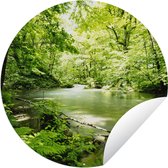 Garden Circle Rivière Oirase au Japon - 150x150 cm - Affiche de jardin