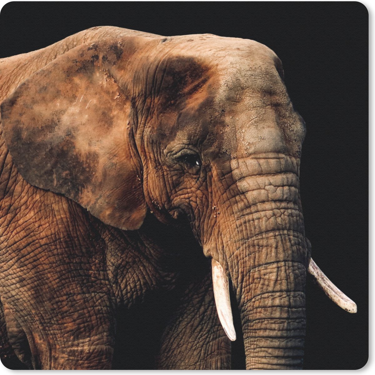 Muismat 20x20 cm - Mousepad Olifant - Dieren - Bruin - Muismatten