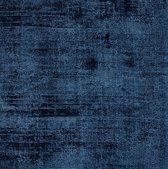 Blue carpet denmark 290x190