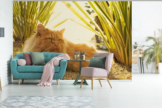 Papier peint photo vinyle - Chat persan parmi les plantes largeur 450 cm x hauteur 300 cm - Tirage photo sur papier peint (disponible en 7 tailles)