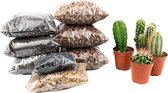 DIY Cactussen open terrarium kit  Instructies toegevoegd