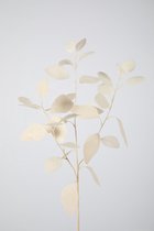 Kunsttak - Eucalyptus - topkwaliteit decoratie - 2 stuks - zijden plant - Wit - 82 cm hoog