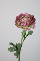 Kunstbloem - Boterbloem - Ranunculus - topkwaliteit decoratie - 2 stuks - zijden bloem - Paars - 49 cm hoog