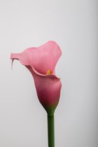 Kunstbloem - Calla lelie - topkwaliteit decoratie - 2 stuks - zijden bloem - Paars - 76 cm hoog