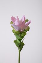 Kunstbloem - Curcuma - topkwaliteit decoratie - 2 stuks - zijden bloem - Roze - 60 cm hoog
